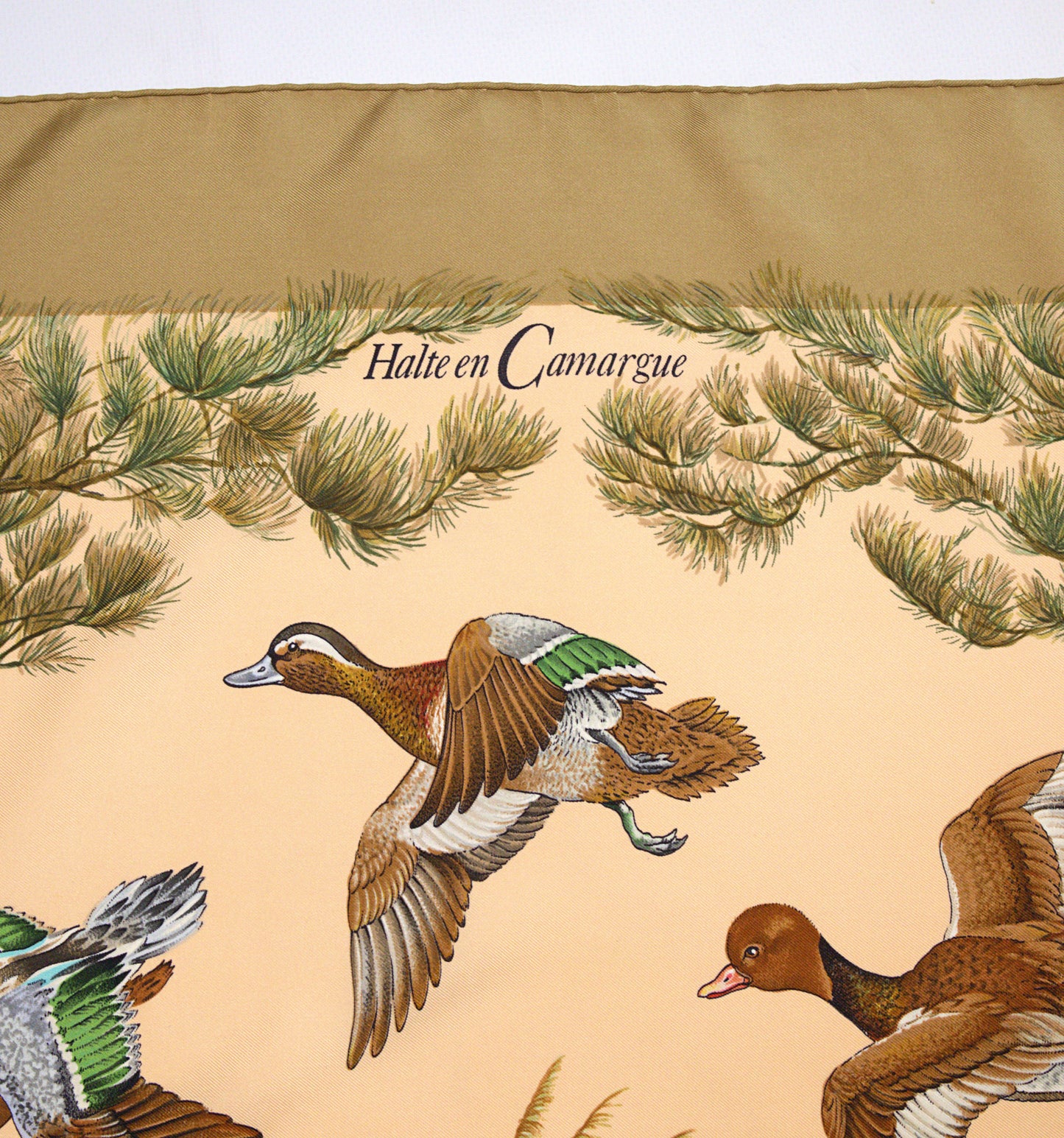 Hermès HALTE EN CAMARGUE 90